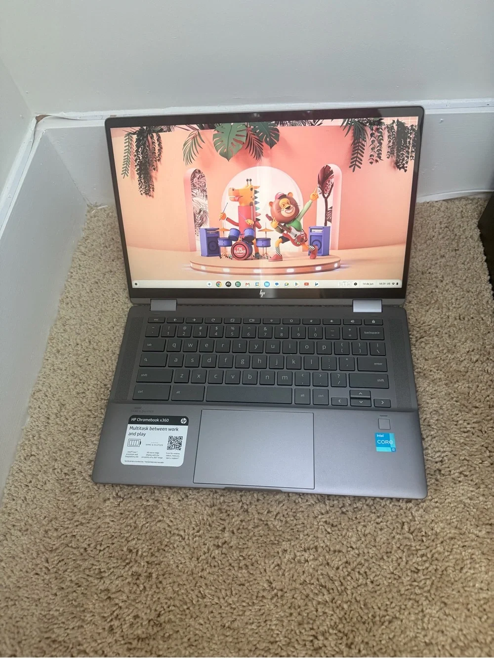 HP Chromebook Laptop - Gray with Gold Logo